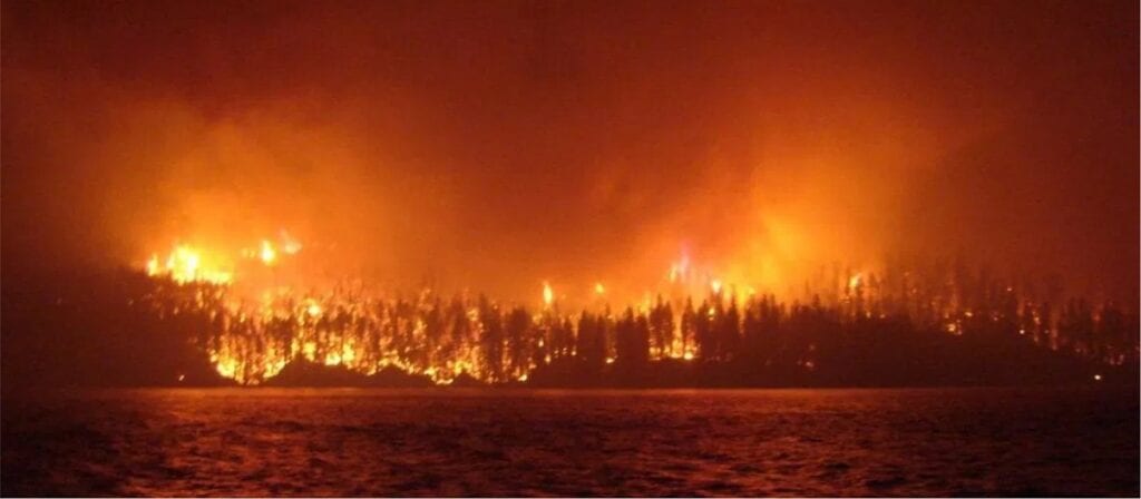 A large wildfire burns through a dense forest at night, with flames and smoke lighting up the sky and reflecting off the surface of a nearby body of water.