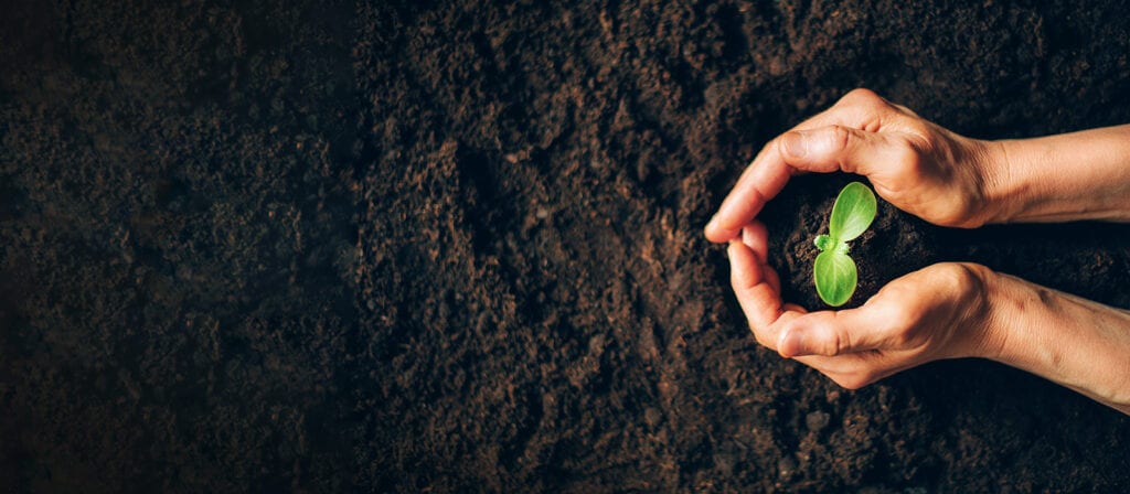 Two hands gently cupping a small green seedling growing in soil, symbolizing care, growth, and environmental protection.