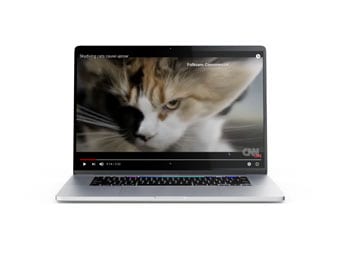A laptop displaying a video of a brown and white cat on its screen. The videos interface and controls are visible, indicating it is paused or playing on a streaming platform.