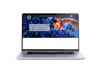 A laptop displaying a website with a colorful image of a clownfish swimming among blue sea anemones on the screen. Text on the site reads: When you love your travel insurer as much, the feeling is mutual.