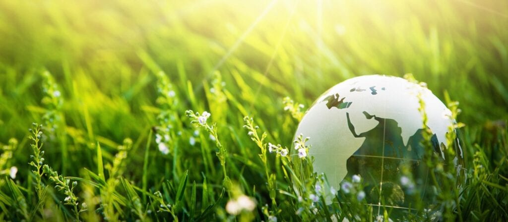 A glass globe featuring a map of Africa and Europe rests on lush green grass under bright sunlight, surrounded by small white flowers and a natural outdoor setting.