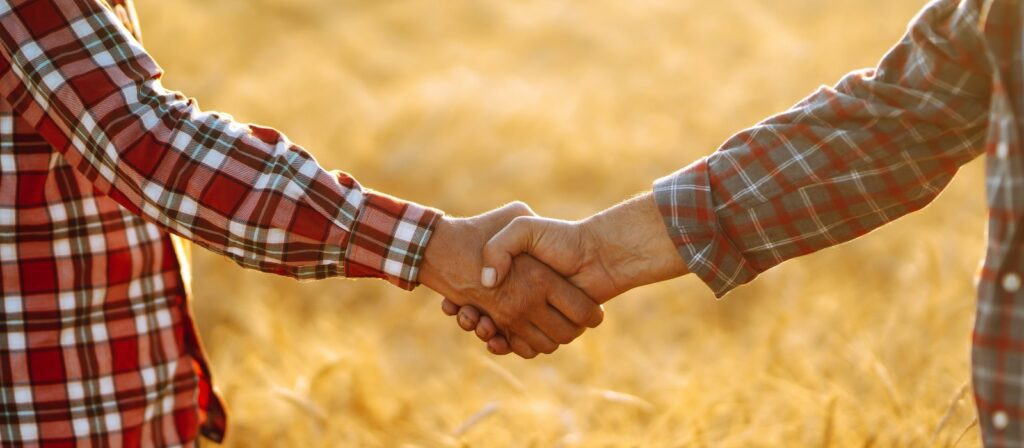 Two people wearing plaid shirts shake hands in a sunlit field of tall grass or wheat, symbolizing partnership or agreement in an agricultural setting.