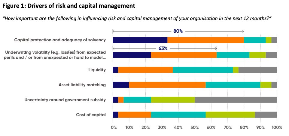 Bar chart showing factors influencing risk and capital management. Capital protection/solvency (80%) and underwriting volatility (63%) are most important, followed by liquidity, asset/liability matching, uncertainty, and cost of capital.