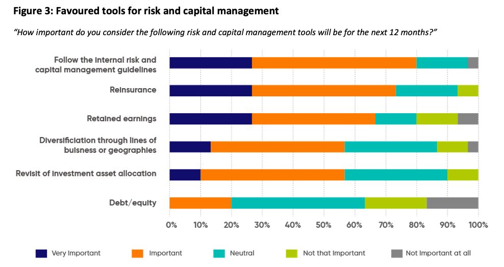 A horizontal bar chart showing the importance of six risk and capital management tools over the next 12 months. Most tools are rated very important or important, especially guidelines and reinsurance.