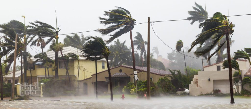 Strong winds bend palm trees and heavy rain floods a residential street in front of suburban houses during a hurricane. Power lines sag, and visibility is reduced due to flying debris and stormy conditions.