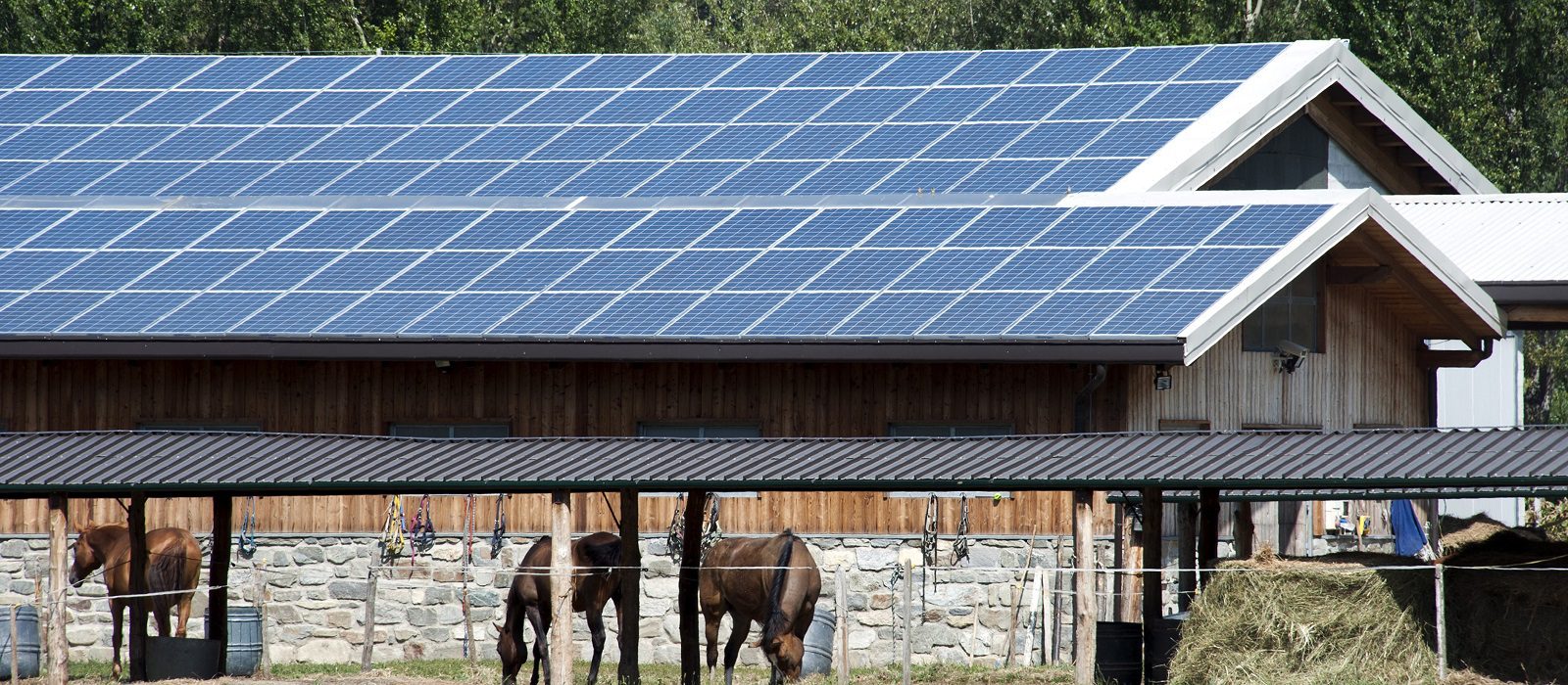 farm-solar-panels