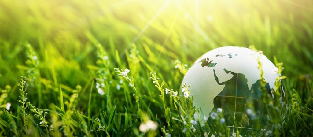A glass globe rests on lush green grass with small white flowers, bathed in warm sunlight, symbolizing environmental conservation and global nature awareness.