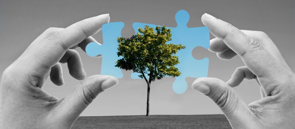 Two hands hold puzzle pieces in front of a tree, aligning them to complete the image of blue sky and leaves, contrasting with the black-and-white background.