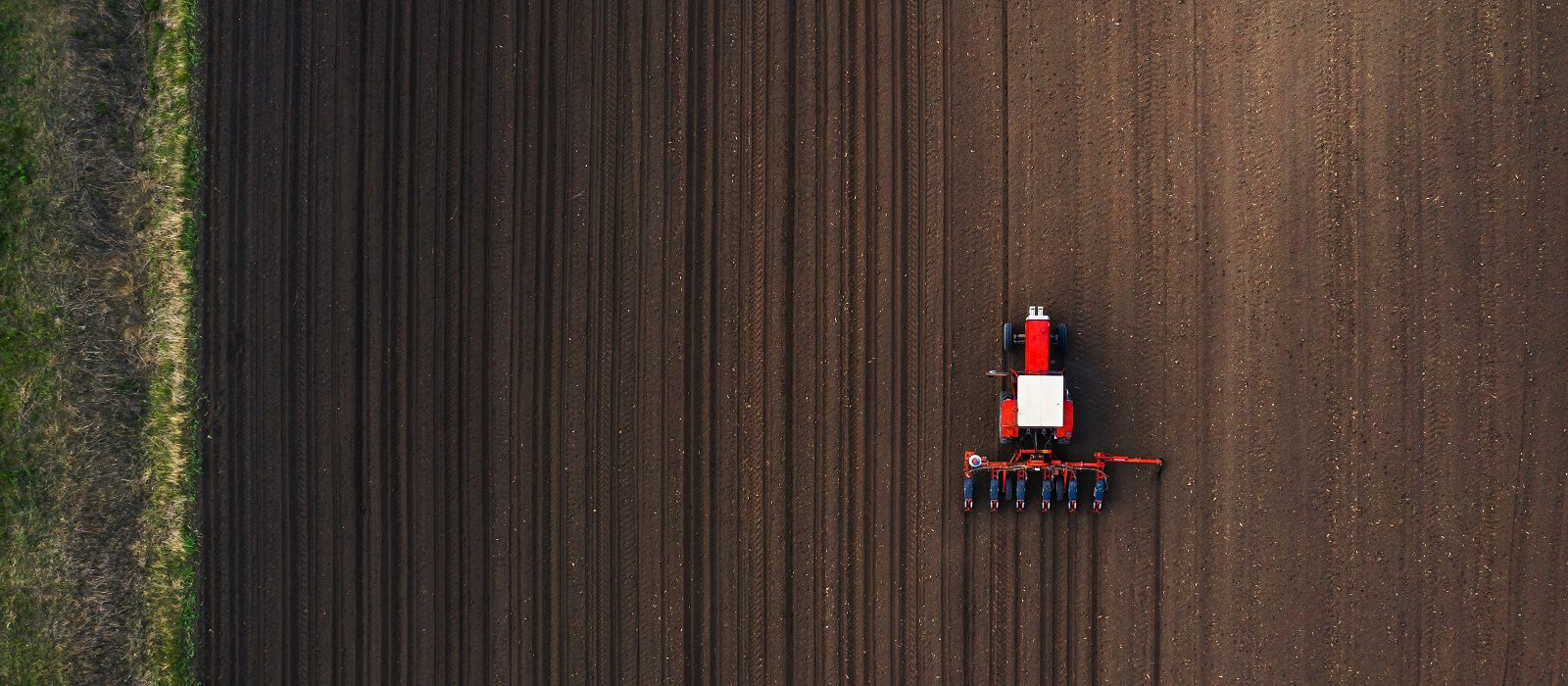 Top view of tractor planting corn seed in field, high angle view drone photography