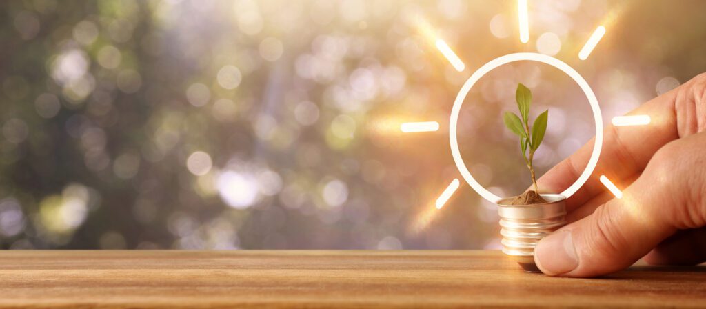 A hand holds a lightbulb base with a small plant growing from it. Sunlight and drawn rays surround the plant, symbolizing sustainable energy. The background is blurred greenery.