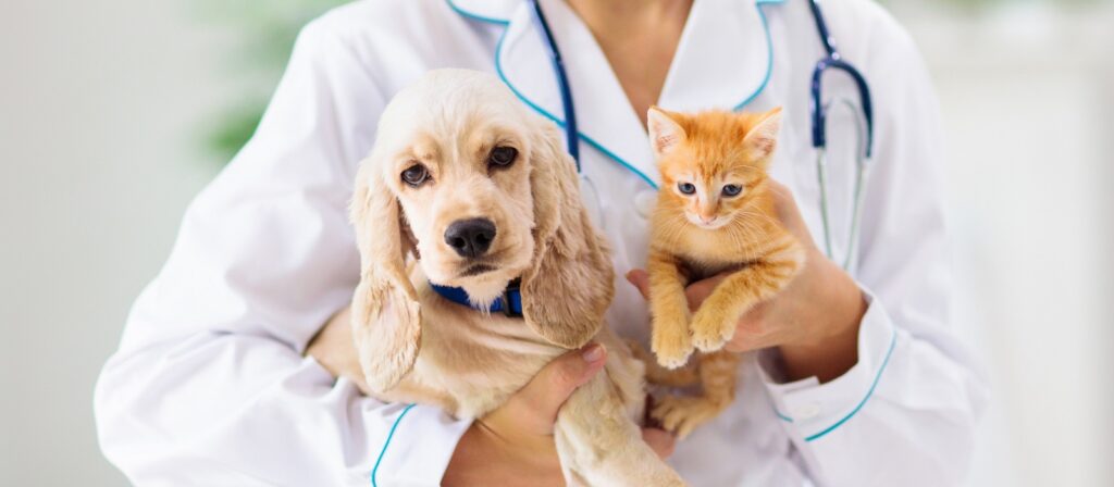 A veterinarian in a white coat holds a light brown puppy and an orange kitten, both looking at the camera. A stethoscope hangs around the vets neck.