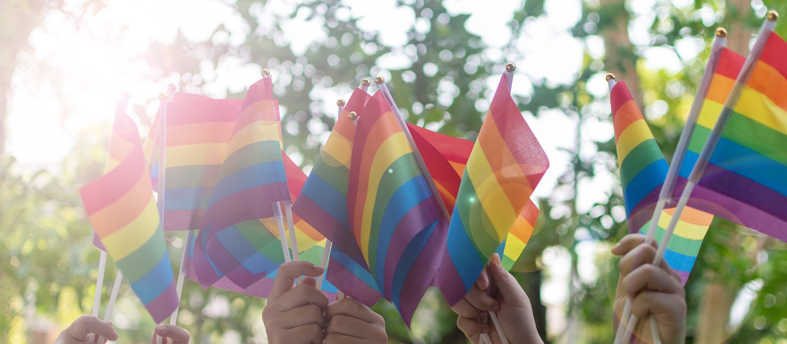 LGBT, pride, rainbow flag as a symbol of lesbian, gay, bisexual, transgender, and queer pride and LGBTQ social movements in June month