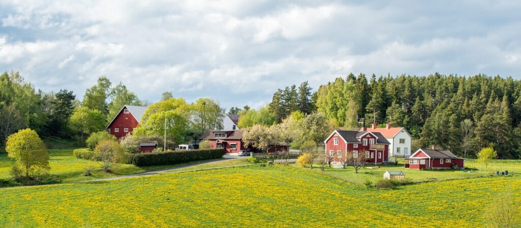 A rural landscape shows red and white farmhouses surrounded by green trees and fields full of yellow flowers under a cloudy sky. A forest borders the peaceful scene in the background.