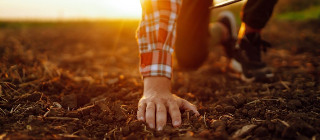 A person in a plaid shirt and sneakers crouches down, touching soil with their hand, in a field during sunset. The image focuses on their hand and arm, with sunlight creating a warm atmosphere.