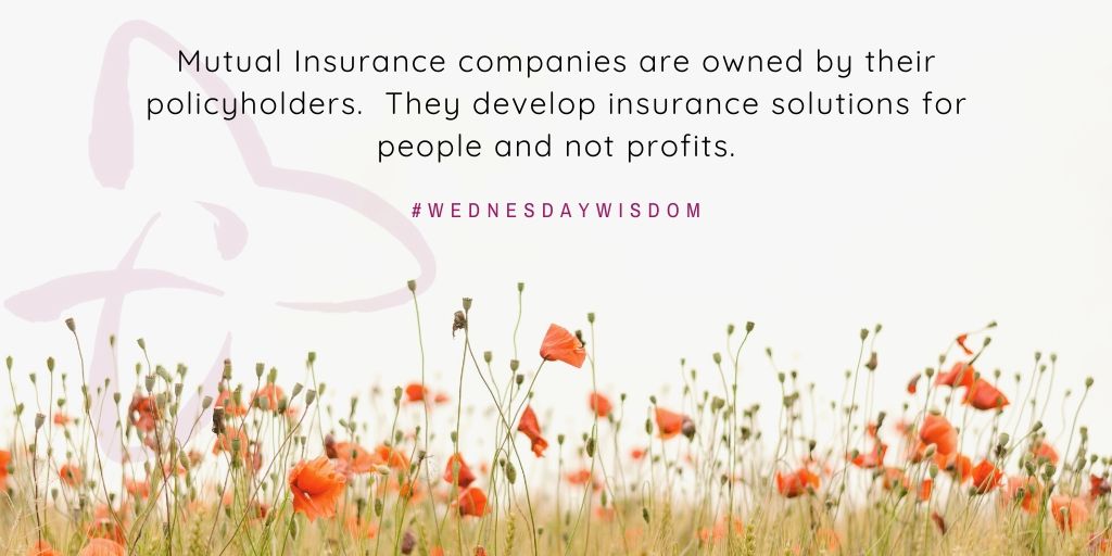 Text over a field of red poppies reads: “Mutual Insurance companies are owned by their policyholders. They develop insurance solutions for people and not profits. #WEDNESDAYWISDOM”.