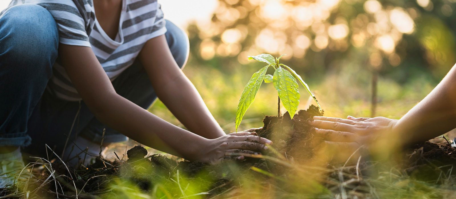 地球を救うために自然に木を植えるのを手伝う子供を持つ母親。 環境エココンセプト
