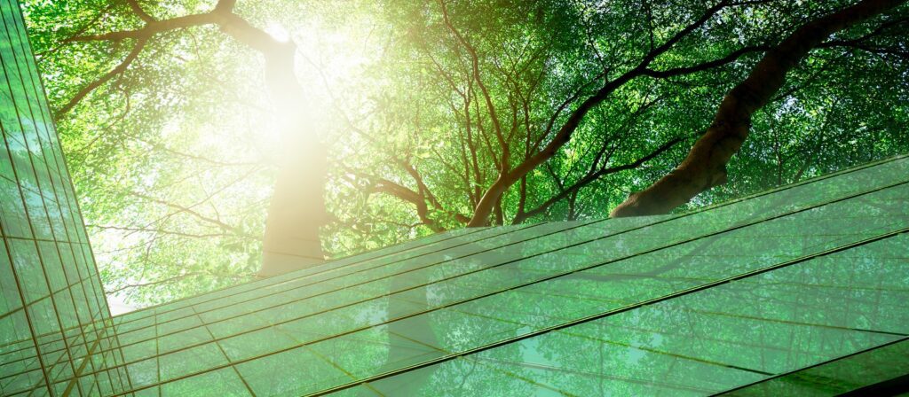Sunlight filters through tall green trees above a modern glass building, creating reflections of the leafy canopy on the glass surfaces, blending architecture with nature.