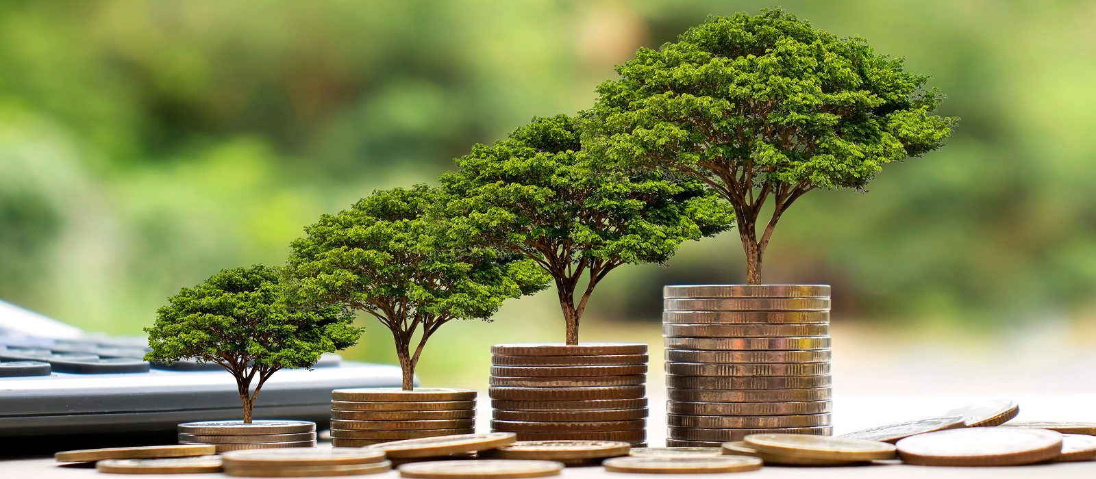Plant a tree on a coin stack, including a calculator and jar for money. Financial accounting concepts and save money.