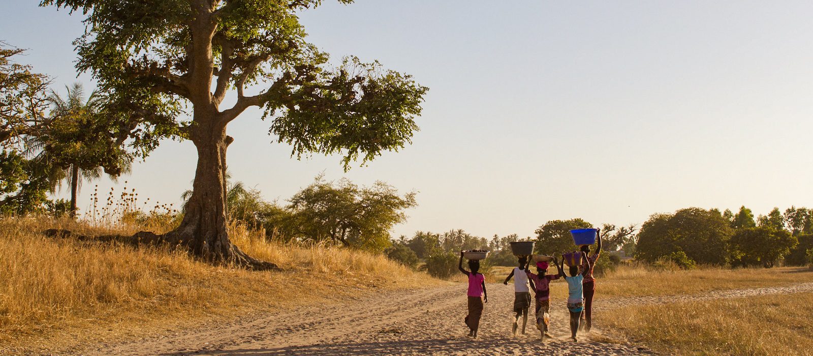 Enfants de retour au village, Sénégal