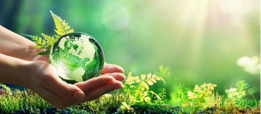 Hands gently hold a transparent globe with a map of continents, surrounded by green plants and ferns, with sunlight streaming in, evoking themes of nature, environment, and conservation.