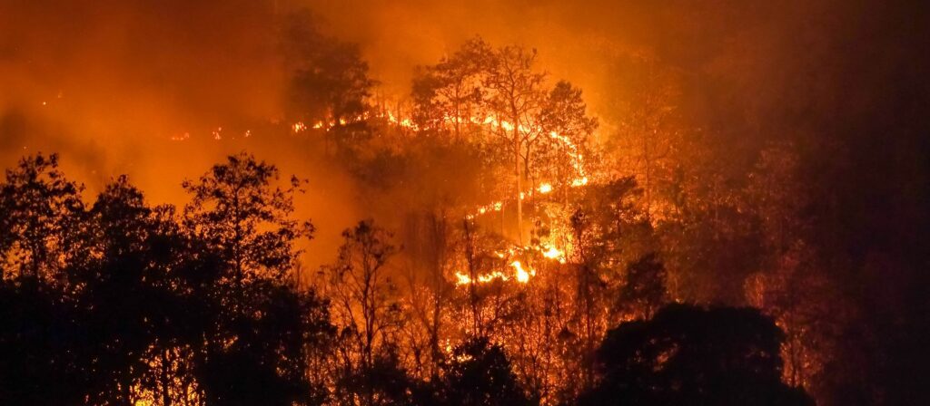 A wildfire burns intensely through a dense forest at night, with bright orange flames and thick smoke illuminating the dark trees and sky.