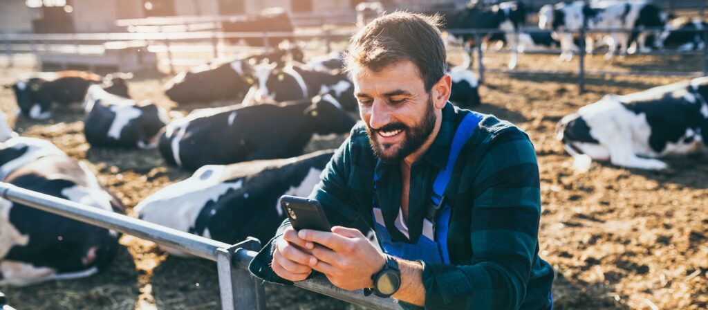 A smiling man in a plaid shirt leans on a metal fence, looking at his smartphone, with several black and white cows resting on hay in the background at a farm.