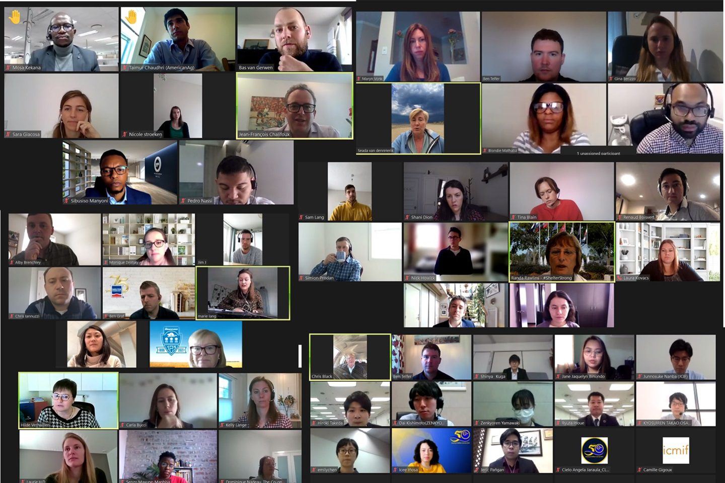 A screenshot of a large video conference call grid showing dozens of diverse participants, each in their own video box, some with blurred backgrounds, attending an online meeting from different locations.