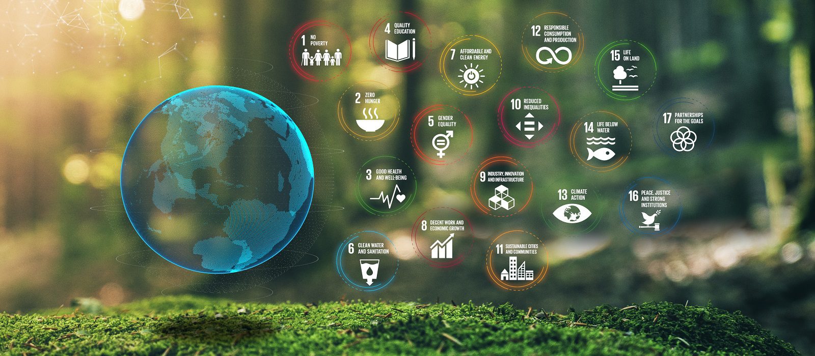 17 Global Goals Concept Earth Plexus Design in Moss Forrest Back
