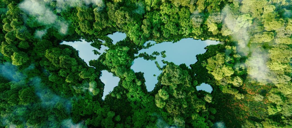 Aerial view of a dense green forest with a large clearing shaped like a world map, filled with water, symbolizing global environmental connection; misty clouds partially cover the trees.