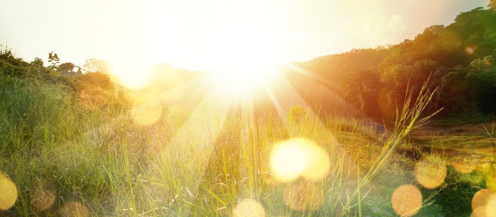 Sunlight shines brightly over a grassy field and hills, creating lens flares and a warm, golden glow across the landscape. Trees and foliage are visible in the background.