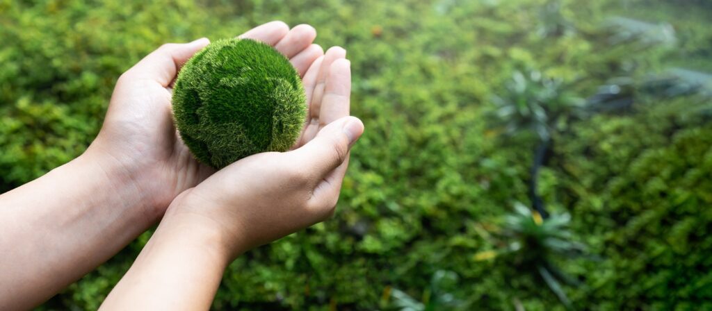 A person gently holds a round ball of green moss in their hands, with a blurred, lush green background of foliage and plants.