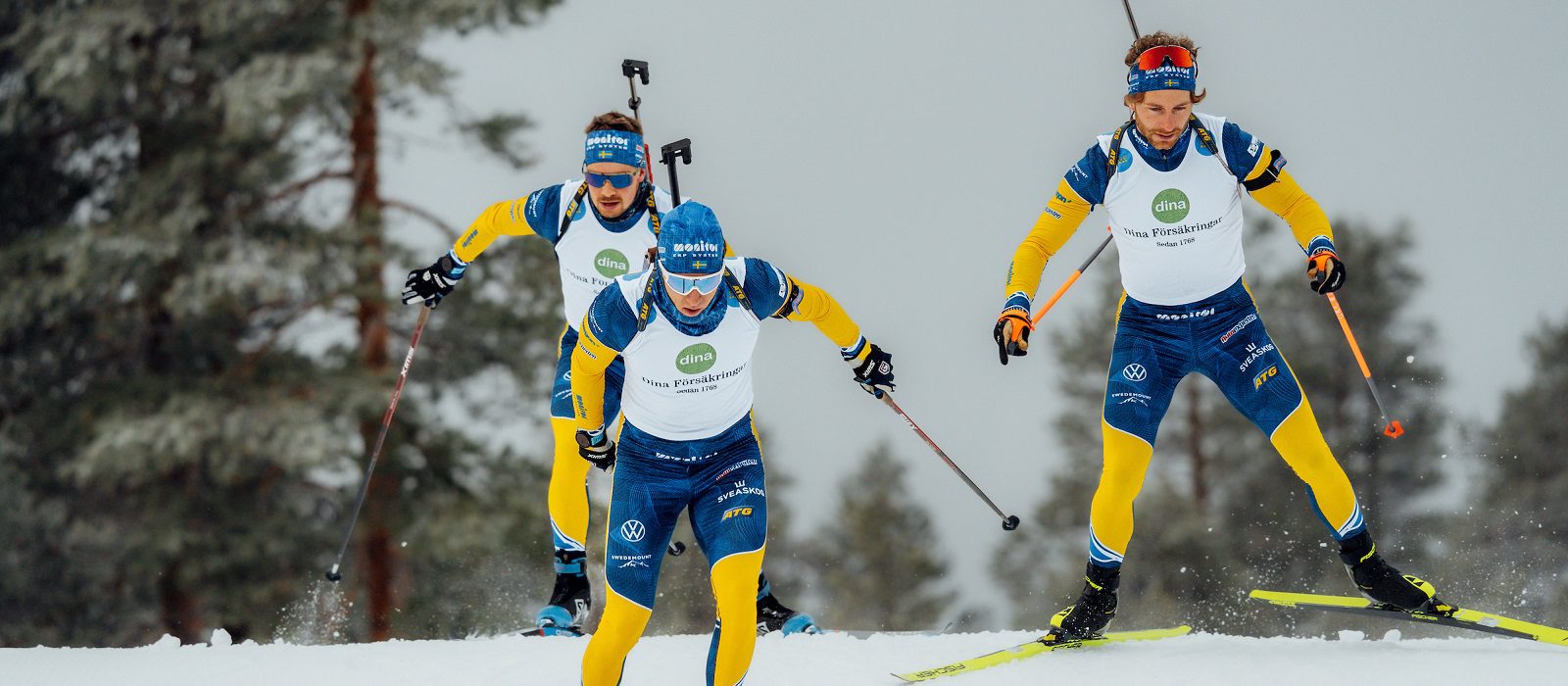 Dina Forsakringar - support for Swedish Biathlon - skiers image 2024