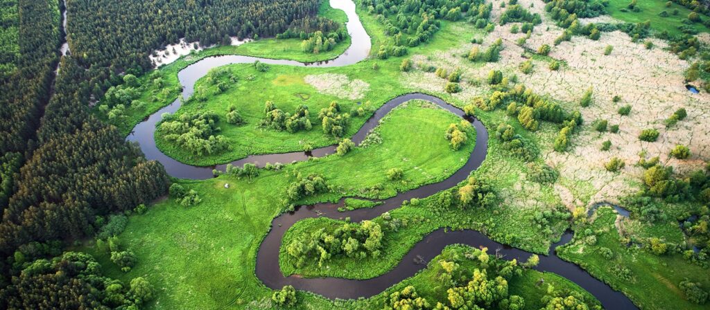 A winding river snakes through a lush green landscape, bordered by dense forest on one side and open grassy fields on the other, viewed from above.