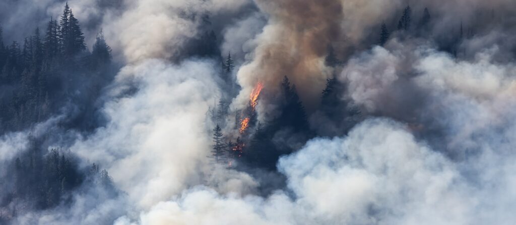 Dense smoke billows through a forest while bright orange flames burn among tall trees, indicating an intense wildfire spreading through the area.