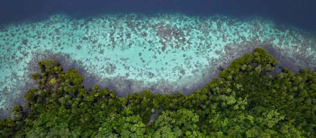 Aerial view of lush green forest bordering a turquoise shoreline with shallow water and visible coral reefs, gradually deepening to dark blue as it meets the open sea.