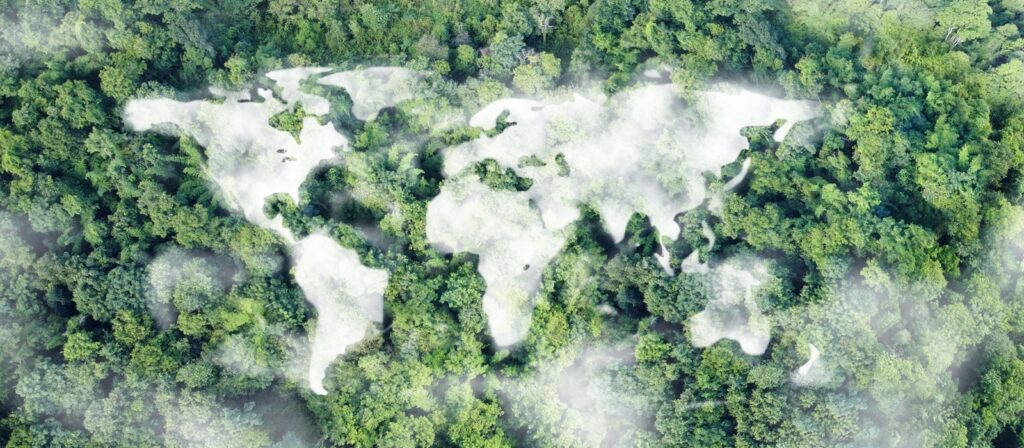 A dense green forest with an aerial view shows tree clearings shaped like a world map, with light fog floating above the trees.