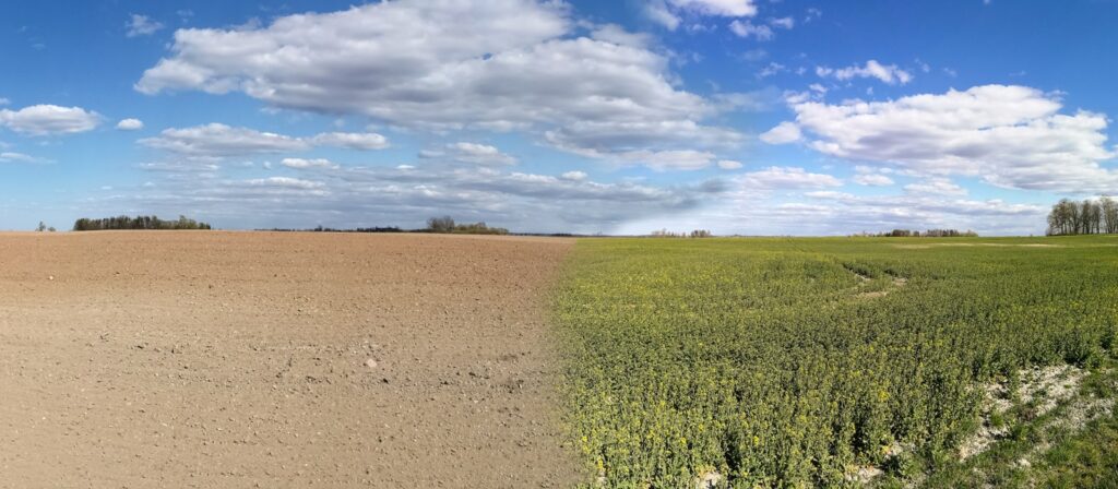 A split landscape shows a barren, tilled field on the left and a lush, green field with plants on the right, both under a blue sky with scattered clouds.