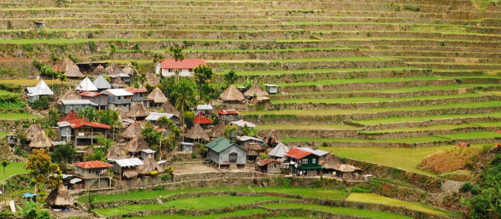 A small village with traditional houses sits among lush, green terraced rice fields on a hillside, surrounded by stone walls and patches of grass.