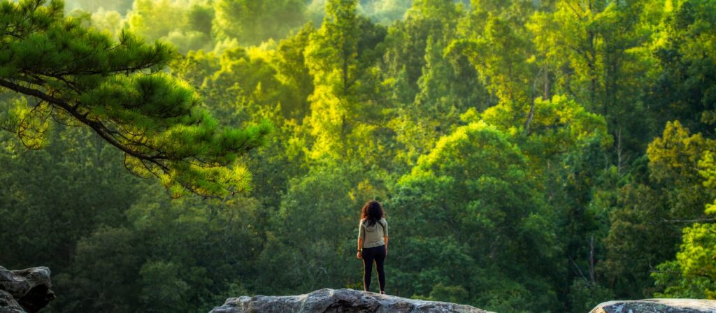 A person with a backpack stands on a rocky ledge, facing a dense, sunlit forest with lush green trees in the background.