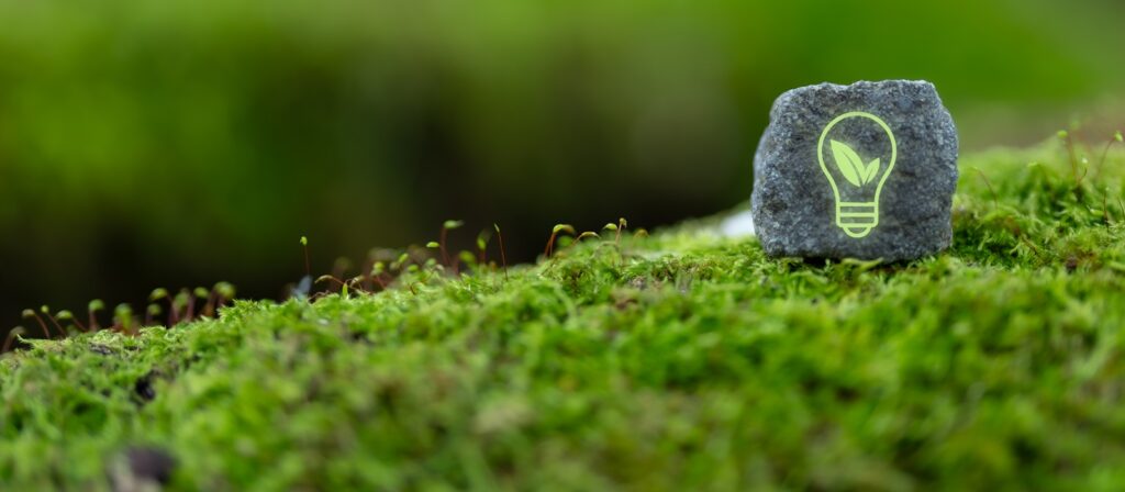 A small rock with a green lightbulb and leaf symbol drawn on it sits on a bed of lush, green moss with a blurred natural background.