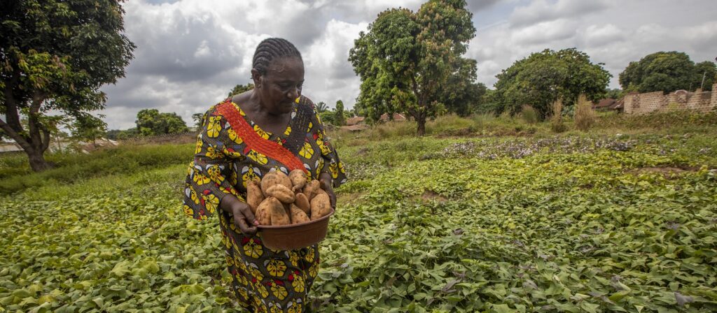 A woman wearing a colorful dress holds a bowl full of harvested yams while standing in a lush green field, with trees and cloudy skies in the background.