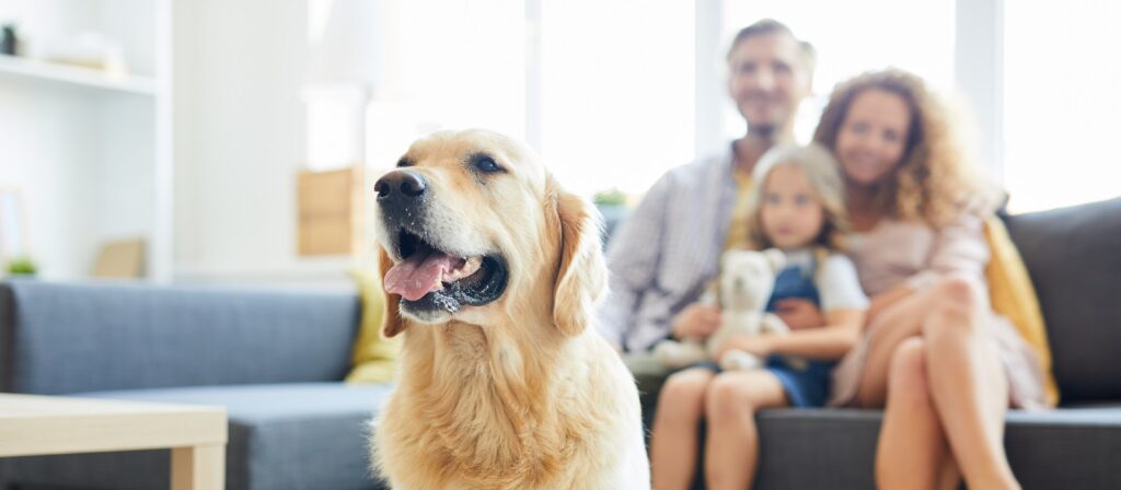 A golden retriever sits in the foreground with its mouth open, while a smiling family of three, including a child holding a stuffed animal, sits together on a couch in the background.