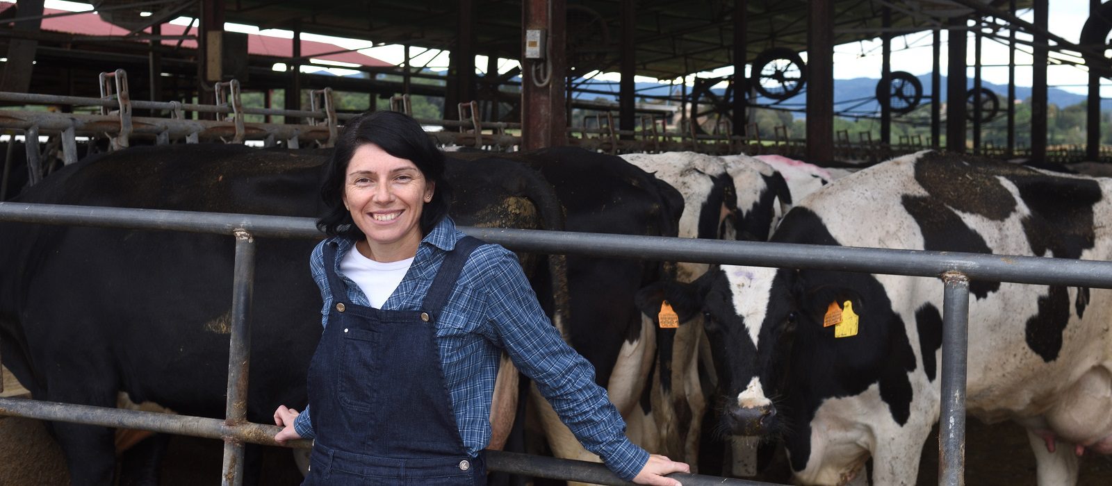 A person wearing dark overalls and a plaid shirt smiles while standing in front of black and white cows inside a covered barn or dairy farm.