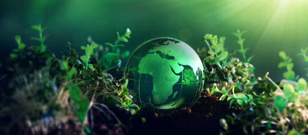 A green glass globe featuring the African continent rests on soil among vibrant green plants, with sunlight streaming in from the upper right corner, symbolizing environmental conservation.