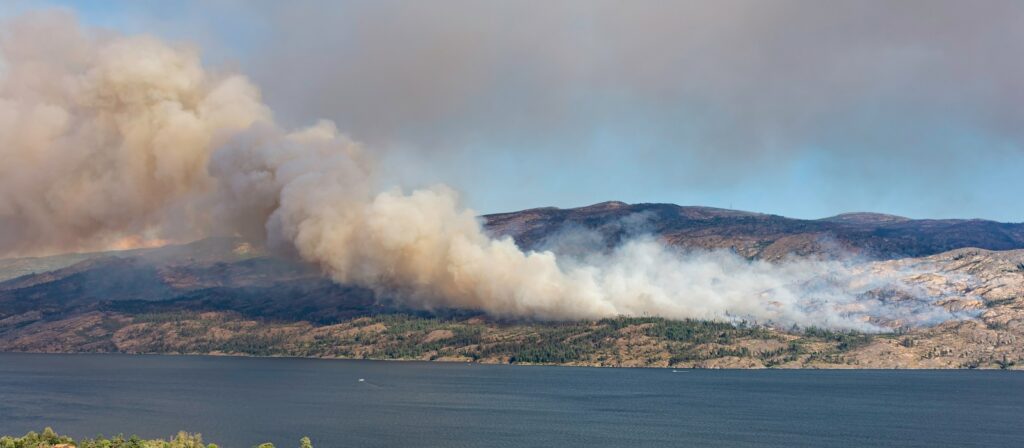 Thick smoke rises from a wildfire spreading across a forested hillside near a large body of water, under a clear sky with distant mountains in the background.