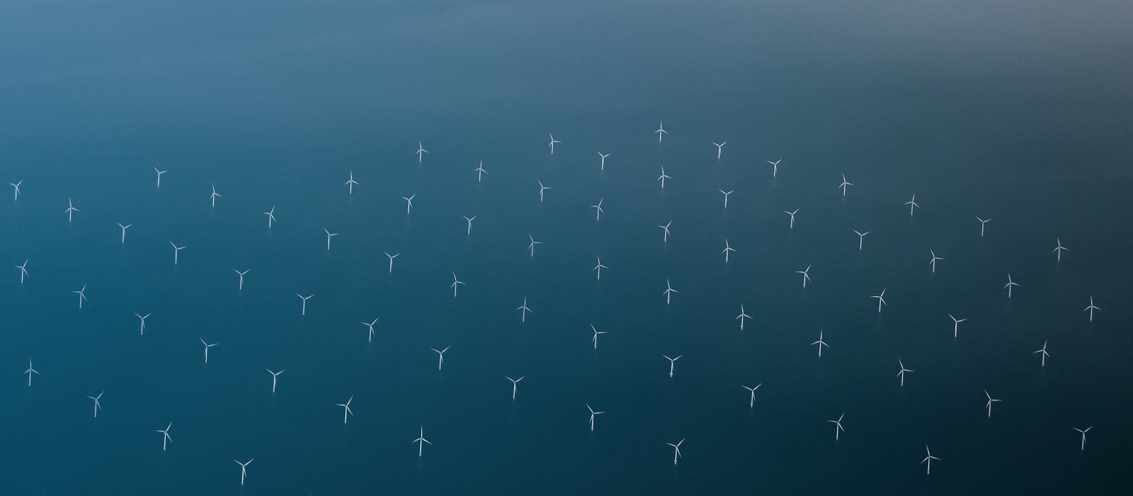 Aerial view of numerous white wind turbines evenly spaced across a calm blue sea, creating a pattern of clean energy generators on the water.