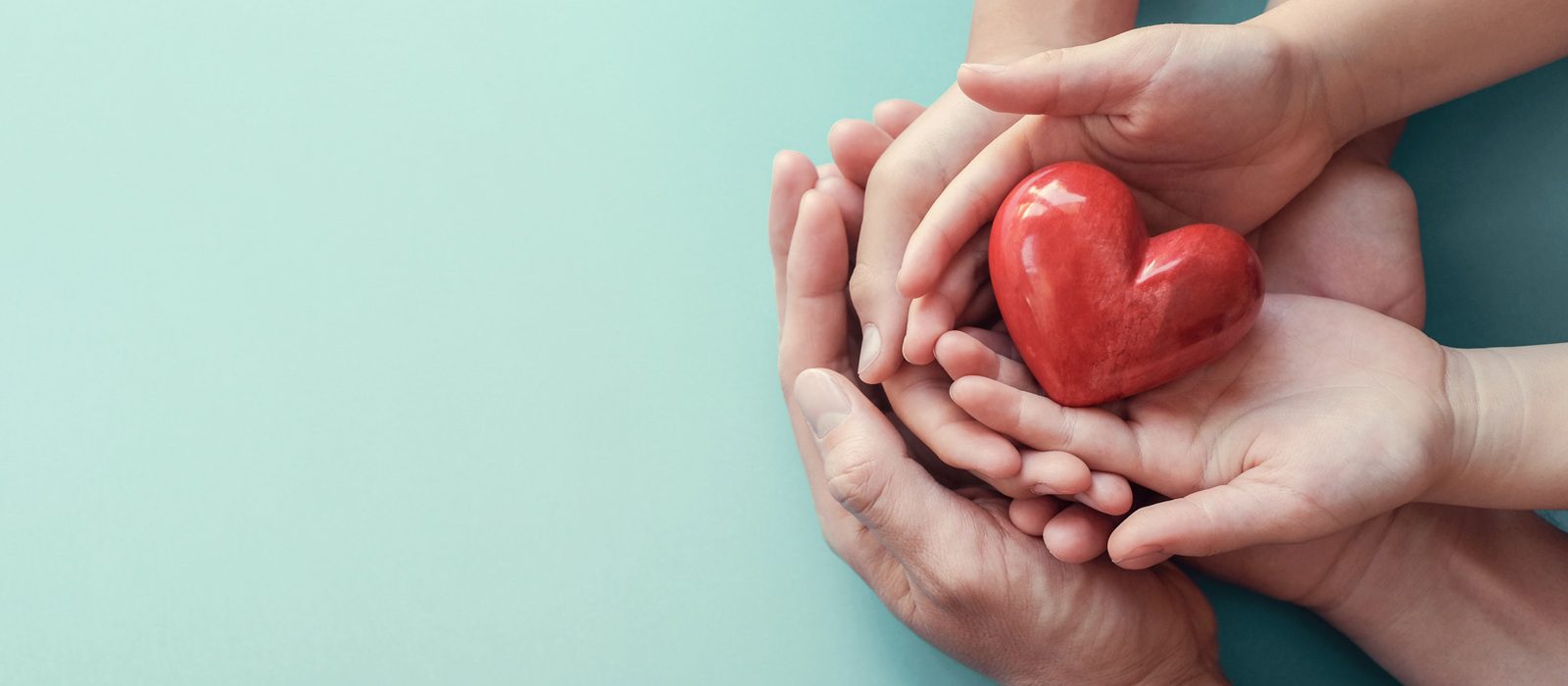 Three pairs of hands of different sizes gently hold a red ceramic heart together, symbolizing care and support, against a light blue background.