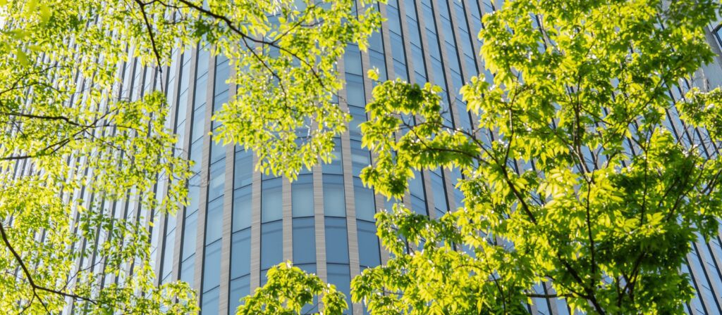 A modern glass skyscraper with reflective windows is partially obscured by green, leafy tree branches on a sunny day.