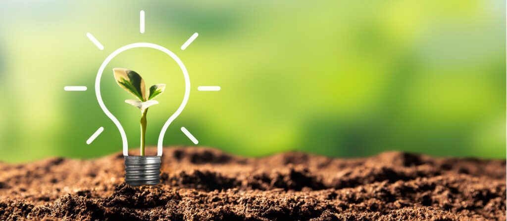 A small green plant sprouting from soil, framed by an illustrated glowing light bulb outline, symbolising ideas or innovation in sustainability, with a blurred green background.