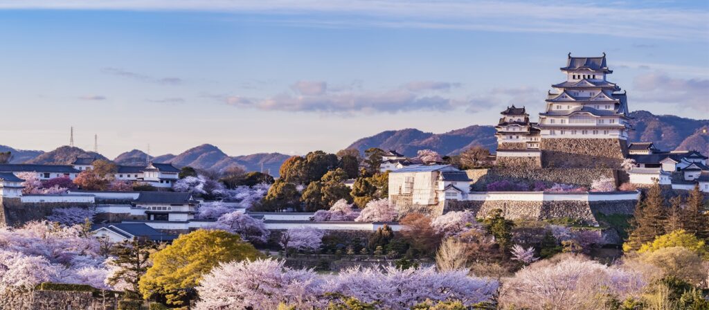 A traditional Japanese castle sits atop a hill surrounded by cherry blossom trees in full bloom, with distant mountains and a partly cloudy sky in the background.